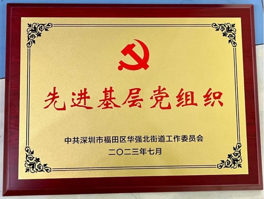 “七一表彰大会”丨深圳海域科技集团有限公司党支部荣获集体表彰
